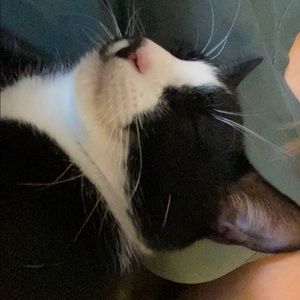 Meet your Posher, Peyton